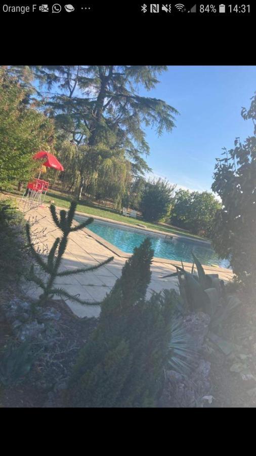 Cocooning Avec Piscine *